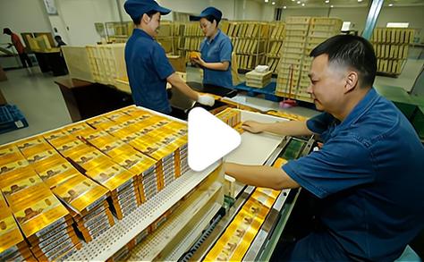 探寻云霄香烟工厂的神秘之地，探访我国知名烟草企业的生产基地